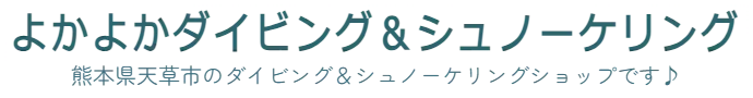 よかよかダイビング&シュノーケリング 熊本県天草市のダイビング&シュノーケリングショップです♪